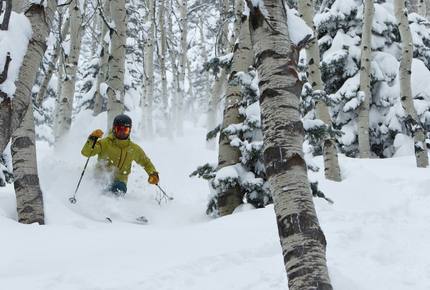 EXCLUSIVE STAY SKI EXPERIENCE - Park City Powder & Ski Butlers, Utah