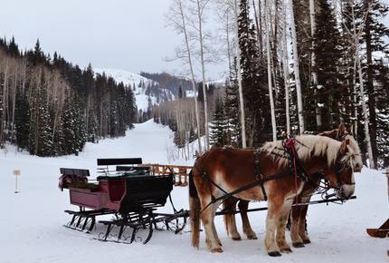 EXCLUSIVE STAY SKI EXPERIENCE - Park City Powder & Ski Butlers, Utah