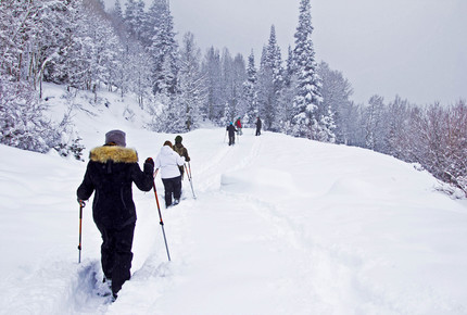 EXCLUSIVE STAY SKI EXPERIENCE - Park City Powder & Ski Butlers, Utah