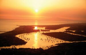 Marriott's Newport Coast Villas - Newport Coast, California