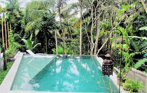 Artist Villa in Bali - Ubud, Indonesia