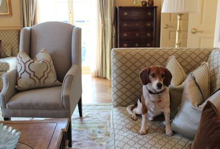 Concierge POSH PET LIFESTYLES - Pet Friendly Escapes, USA