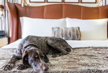 Concierge POSH PET LIFESTYLES - Pet Friendly Escapes, USA