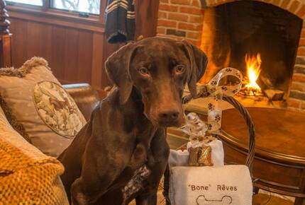Concierge POSH PET LIFESTYLES - Pet Friendly Escapes, USA