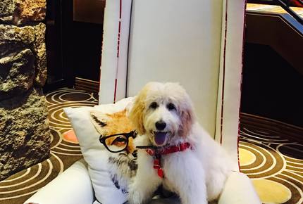 Concierge POSH PET LIFESTYLES - Pet Friendly Escapes, USA