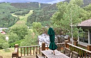 Telluride Town Ski Haven - Telluride, Colorado