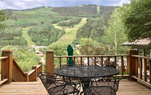 Telluride Town Ski Haven - Telluride, Colorado