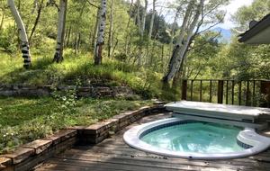 Telluride Town Ski Haven - Telluride, Colorado