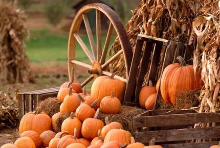 EXCLUSIVE STAY EXPERIENCE - Hudson Valley Castle Fall Festivals, New York