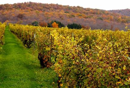 EXCLUSIVE STAY EXPERIENCE - Hudson Valley Castle Fall Festivals, New York