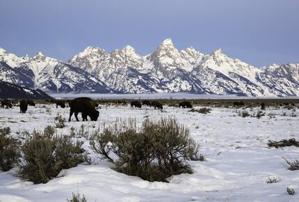 EXCLUSIVE STAY SKI EXPERIENCE - Jackson Hole & Ski Butlers, Wyoming