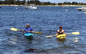 Martha's Vineyard Waterfront Sunsets - Oak Bluffs, Massachusetts