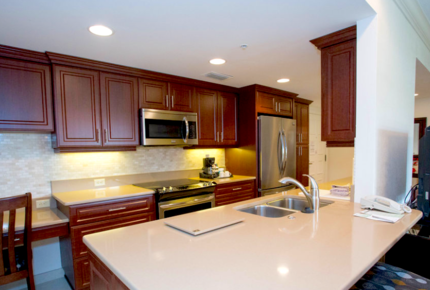 Luxury Condo at Innisbrook Golf & Spa Resort - Palm Harbor, Florida