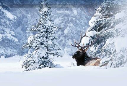 EXCLUSIVE STAY SKI EXPERIENCE - Sun Valley Thanksgiving Escape, Idaho