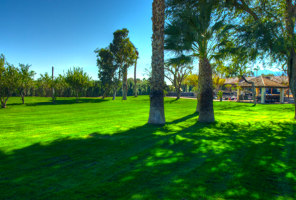 Private Modern Ranch with Lake in the Desert!