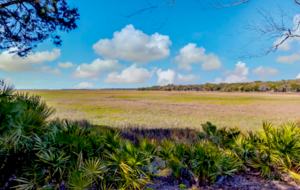 Marsh View Villa - Amelia Island, Florida