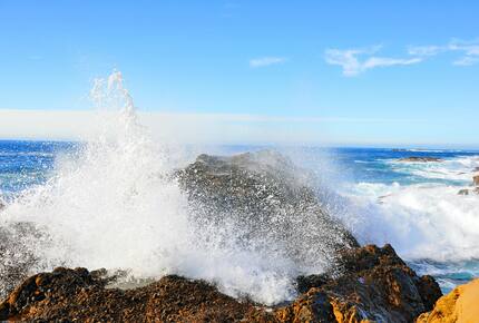 EXCLUSIVE STAY EXPERIENCE - Gourmetfest by The Sea Carmel, California