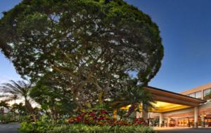 Oceanfront Maui Ocean Club Kaanapali - 3 Bedroom, 3 Bathroom - Lahaina - Maui, Hawaii