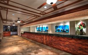 Oceanfront Maui Ocean Club Kaanapali - 3 Bedroom, 3 Bathroom - Lahaina - Maui, Hawaii