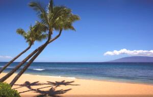 Oceanfront Maui Ocean Club Kaanapali - 3 Bedroom, 3 Bathroom - Lahaina - Maui, Hawaii