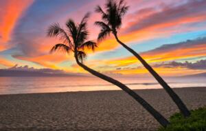 Oceanfront Maui Ocean Club Kaanapali - 3 Bedroom, 3 Bathroom - Lahaina - Maui, Hawaii