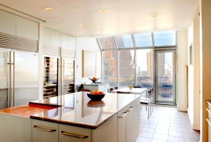 Elegant Tribeca Penthouse