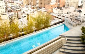 Elegant Tribeca Penthouse - New York City, New York