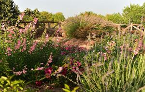 The Round House and Bunk Room at Olepangi Farm - full board - Mt. Kenya - Timau, Kenya