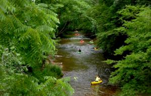 The Mitchell River Estate - 400+ Acres, Fly Fishing Paradise - Dobson, North Carolina