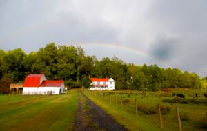 The Mitchell River Estate - 400+ Acres, Fly Fishing Paradise - Dobson, North Carolina