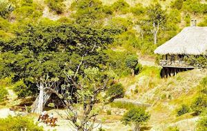 The Round House and Bunk Room at Olepangi Farm - full board - Mt. Kenya - Timau, Kenya