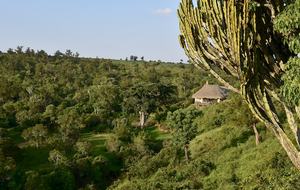 The Round House and Bunk Room at Olepangi Farm - full board - Mt. Kenya - Timau, Kenya