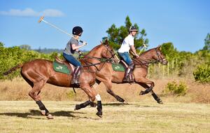 The Round House and Bunk Room at Olepangi Farm - full board - Mt. Kenya - Timau, Kenya
