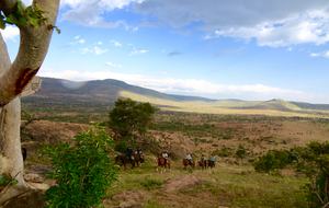 The Round House and Bunk Room at Olepangi Farm - full board - Mt. Kenya - Timau, Kenya