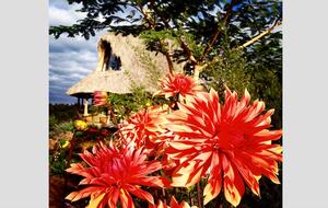 The Round House and Bunk Room at Olepangi Farm - full board - Mt. Kenya - Timau, Kenya