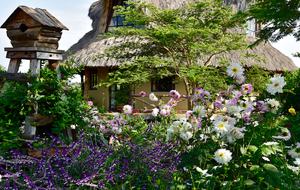 The Round House and Bunk Room at Olepangi Farm - full board - Mt. Kenya - Timau, Kenya