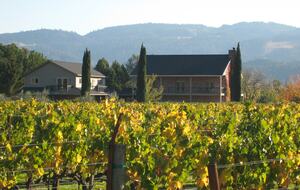 Villa Calistoga in Napa Valley Wine Country - Calistoga, California