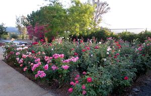 Villa Calistoga in Napa Valley Wine Country - Calistoga, California