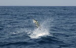 Raiwasa Private Retreat - Taveuni Island, Fiji