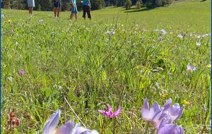 Bridger Vista Lodge - Escape to rural Montana - Bozeman, Montana