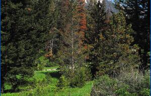 Bridger Vista Lodge - Escape to rural Montana - Bozeman, Montana