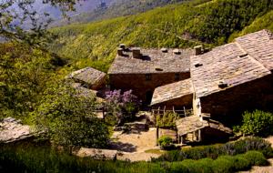 Borgo di Vagli - Two Bedroom Residence - Cortona, Italy