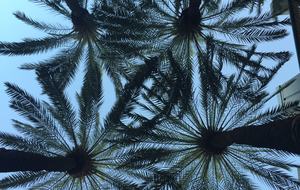 Casa Blanca Beach House (Playa's #1 Vacation Rental) - Playa del Carmen, Mexico