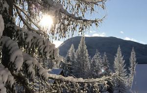 Luxury Log Cabin in the Mountains of British Columbia - Kimberley, Canada