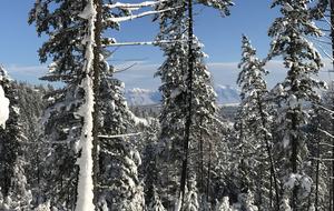 Luxury Log Cabin in the Mountains of British Columbia - Kimberley, Canada
