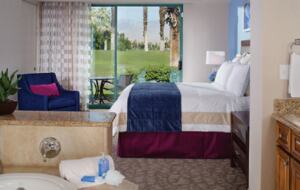 Marriott Desert Spring Villas - Golf Paradise - Palm Desert, California