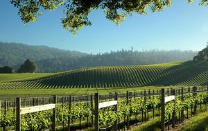 Royal Pacific - Close to San Francisco, Napa and Sonoma - Bodega Bay, California