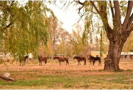 La Tapera - Tunuyan, Mendoza, Argentina
