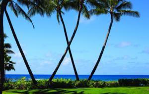 Marriott's Waiohai Beach Club - Two Bedroom Villa - Koloa, Kauai, Hawaii