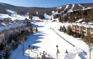 The Enclave - Ski-In/Ski-Out Two-Bedroom Residence - Windham, New York